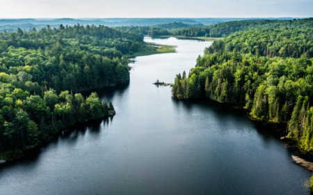 PlanEat porta la Natura nel CdA: nominato il primo Custode della Natura in Italia