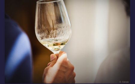 Vino siciliano, l’IRVO a Zurigo per rafforzare la presenza delle cantine nel mercato svizzero
