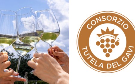 Gavi Docg, il mercato interno torna a crescere e l’export consolida i risultati