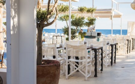Zanzare, il controllo degli spazi outdoor diventa strategico per l’Horeca: la soluzione Vebi PRO