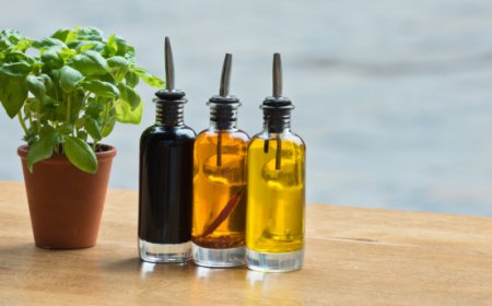 Olio di oliva, Federolio e SEF Consulting insieme per la competitività della filiera