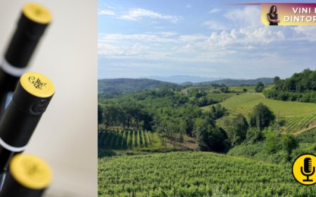 Collio, terra di confine e grandi bianchi alla ricerca di una sintesi