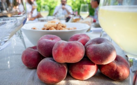 Pesca Saturnia, tre serate gourmet tra Civitanova Marche e la valle del Chienti