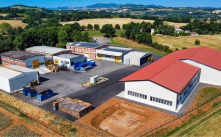 Apicoltura Piana chiude il 2025 con 26,3 milioni di ricavi e 850 mila euro di utile