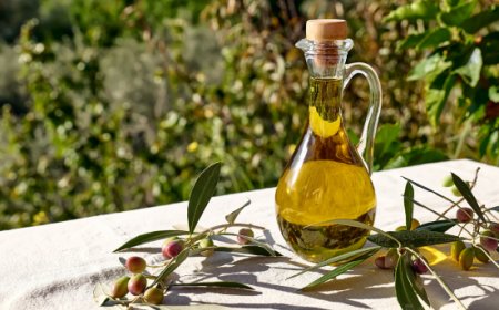EVOLIO Expo 2027, l’olio italiano al centro di incontri B2B e innovazione