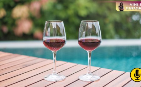 Google e il vino rosso d’estate: dal ''si può?'' al ''quale?''
