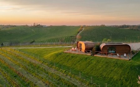 Nasce Vinova, il primo albergo diffuso esperienziale d'Europa dedicato al vino