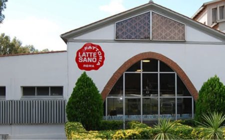 Salta l'accordo sul prezzo del latte: Latte Sano rilancia il tavolo regionale