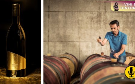 Trigon e il metodo Rottensteiner: una nuova interpretazione del Lagrein