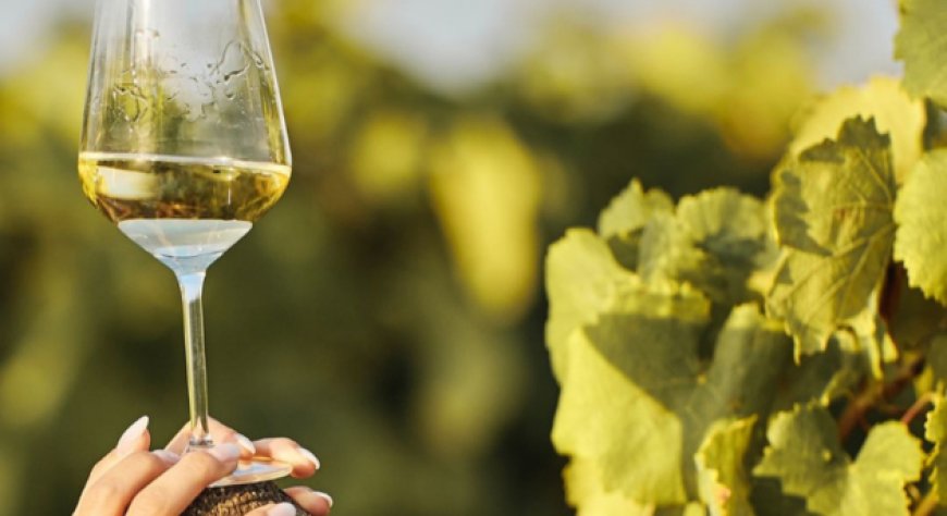 Vini fortificati, la Sicilia a Vinoble sostiene la candidatura UNESCO della Sun Belt