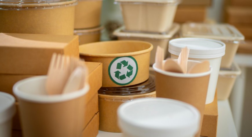 Contenitori take away: come evitare rallentamenti nel servizio durante i momenti di picco