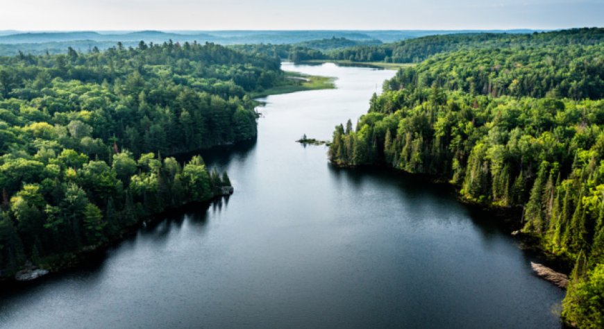PlanEat porta la Natura nel CdA: nominato il primo Custode della Natura in Italia