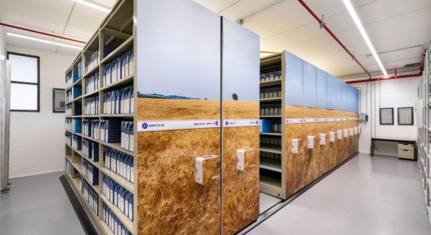 L'Archivio Storico Barilla racconta quasi 150 anni di storia italiana