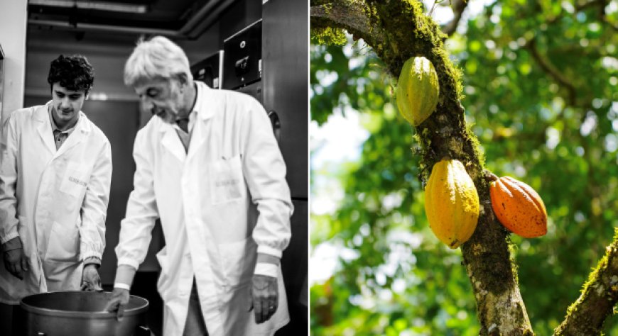 Guido Gobino: cacao tracciato al 100%, emissioni dimezzate e filiera italiana nel Bilancio di Sostenibilità 2025