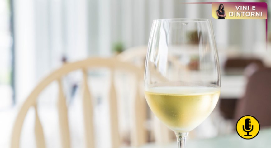 Limpidezza del vino e sostenibilità: una ricerca esplora nuove soluzioni per la stabilizzazione di bianchi e rosati