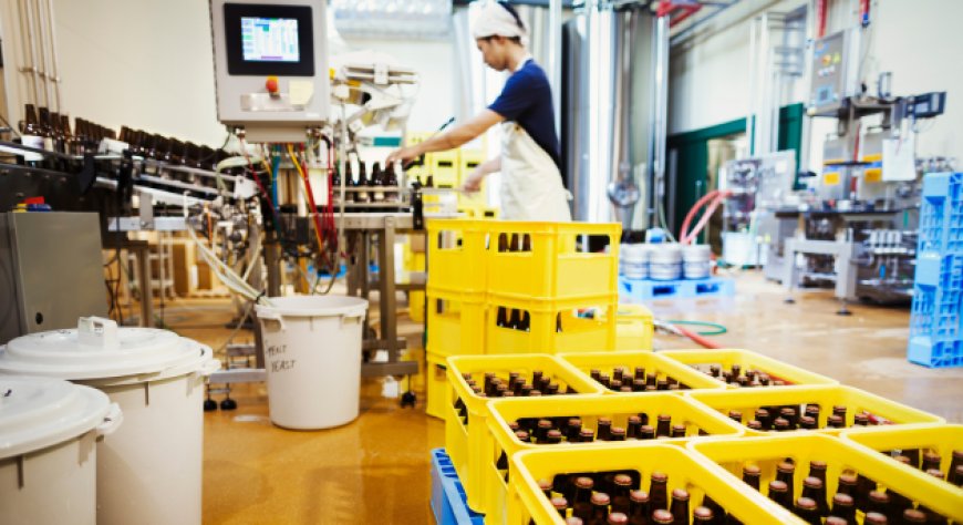 Le trebbie di birra come risorsa: nuovi studi per l’impiego nell’industria alimentare