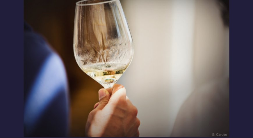 Vino siciliano, l’IRVO a Zurigo per rafforzare la presenza delle cantine nel mercato svizzero