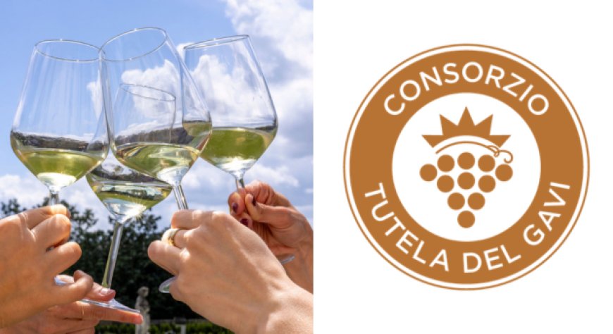 Gavi Docg, il mercato interno torna a crescere e l’export consolida i risultati