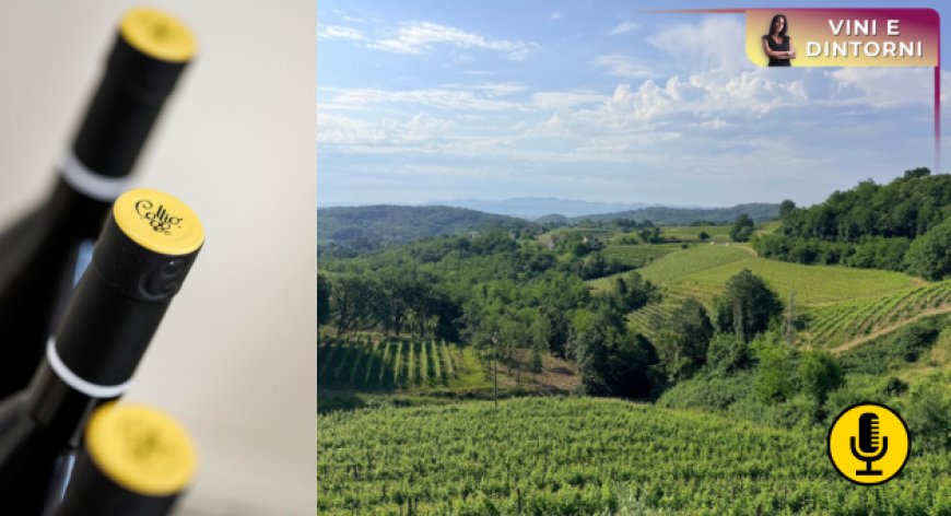 Collio, terra di confine e grandi bianchi alla ricerca di una sintesi