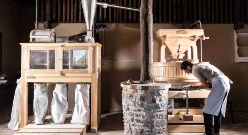 L'Ammaccata inaugura il mulino: la filiera del grano entra in pizzeria