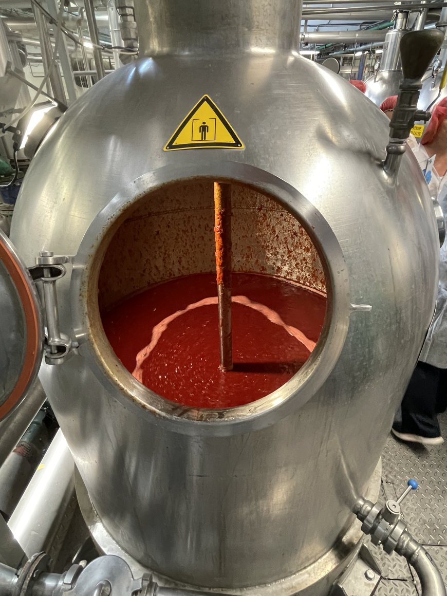 Amarena Day, Le Conserve della Nonna racconta produzione e territorio