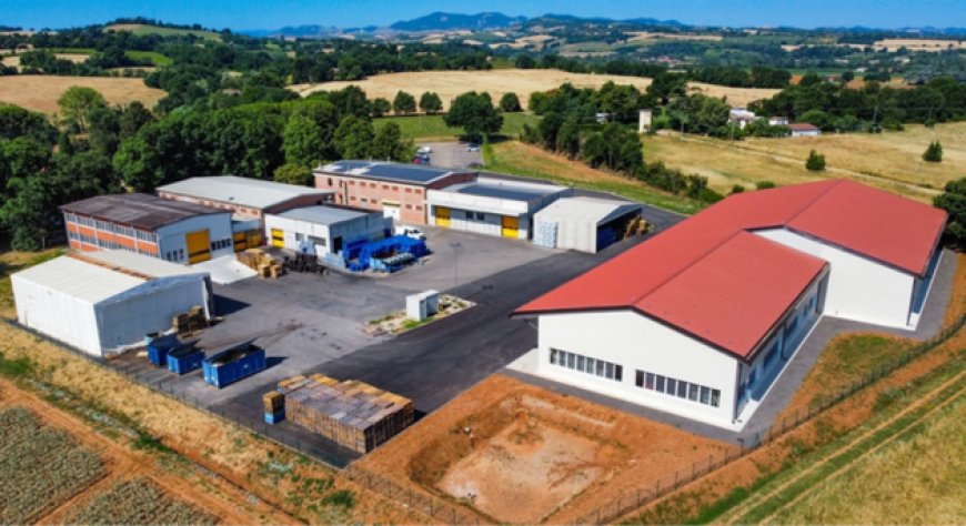 Apicoltura Piana chiude il 2025 con 26,3 milioni di ricavi e 850 mila euro di utile