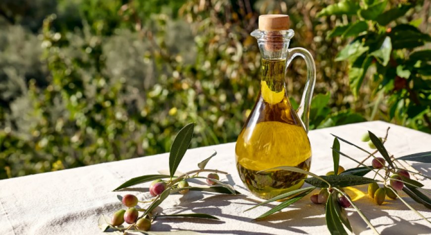 EVOLIO Expo 2027, l’olio italiano al centro di incontri B2B e innovazione
