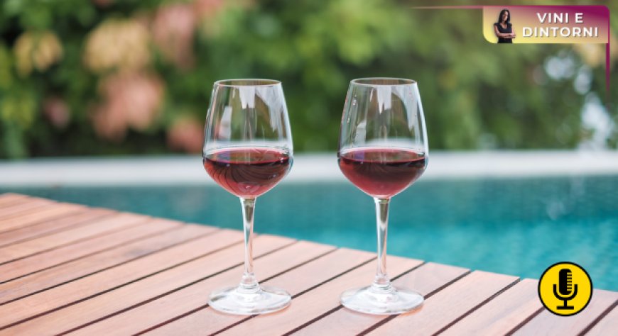 Google e il vino rosso d’estate: dal ''si può?'' al ''quale?''