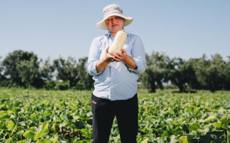 Demeter Italia, il ruolo dell’agricoltura biodinamica nella risposta al clima estremo