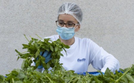 Sicurezza alimentare, analisi e tracciabilità nella filiera del Pesto Barilla