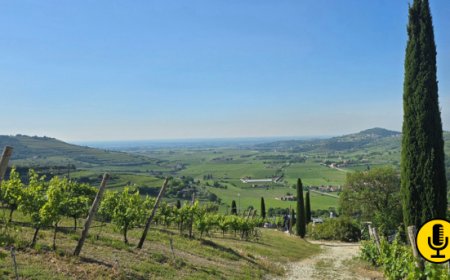 La-Vis e Cembra, il territorio come leva di valore per l’Horeca