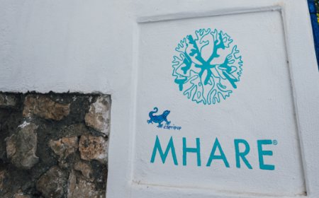 Mhare Capri, cucina rigenerativa e design nel cuore storico dell’isola