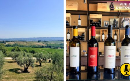 Podernuovo a Palazzone: il progetto di Giovanni Bulgari nella sua nuova stagione