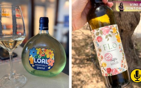 Dal Trentino alla Sicilia: quando il vino a bassa gradazione nasce in vigna senza dealcolazione