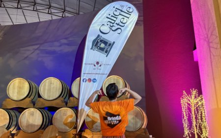 Movimento Turismo del Vino: Calici di Stelle 2026 tra cantine, borghi e piazze