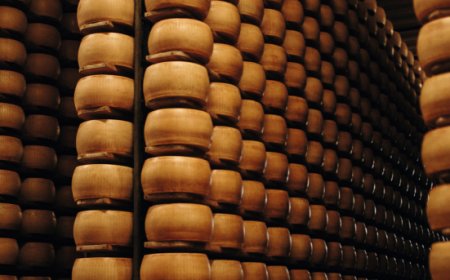 Parmigiano Reggiano di montagna, la produzione supera 921.000 forme