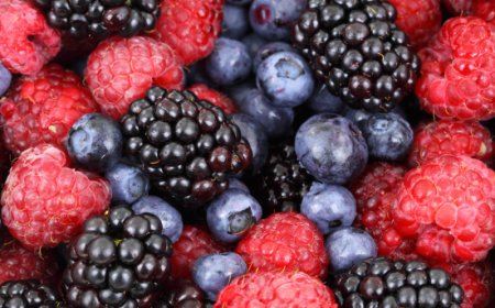 Mercato dei piccoli frutti in crescita: consumi a +35% nel primo trimestre 2026