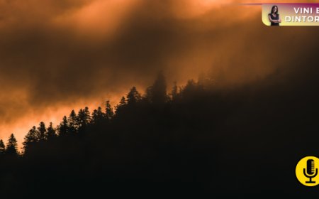 Quando brucia il Mediterraneo del vino