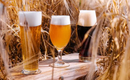 Birra artigianale, dieci anni dalla legge: i numeri del settore in Italia