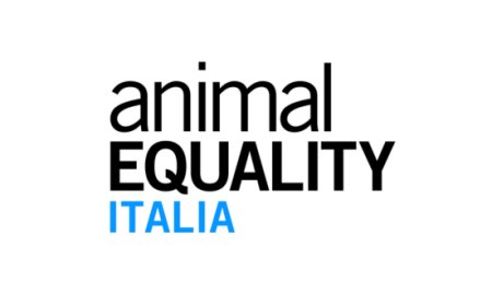 Foie gras al bando in Brasile: è il secondo Paese dopo l'India