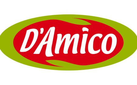 D’Amico al MacFest racconta il legame tra arte, impresa e sostenibilità