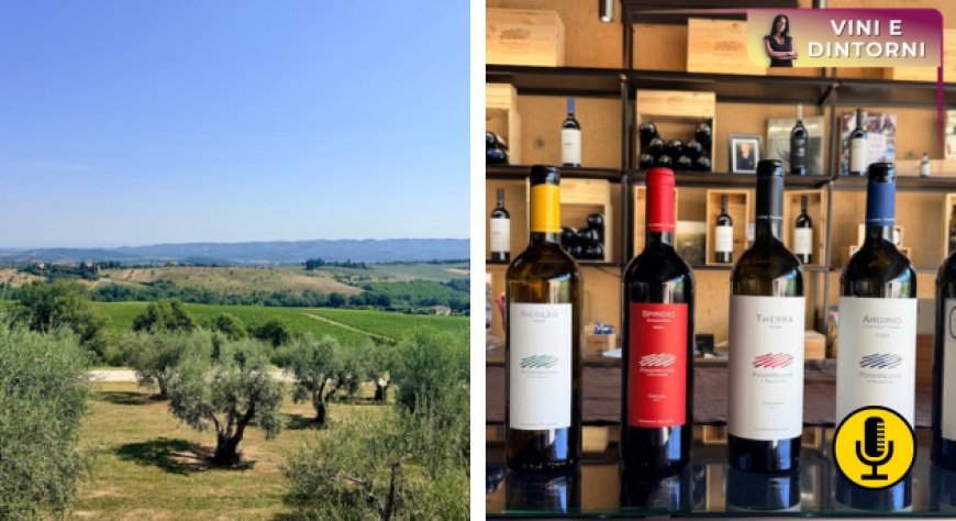 Podernuovo a Palazzone: il progetto di Giovanni Bulgari nella sua nuova stagione