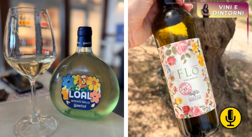 Dal Trentino alla Sicilia: quando il vino a bassa gradazione nasce in vigna senza dealcolazione
