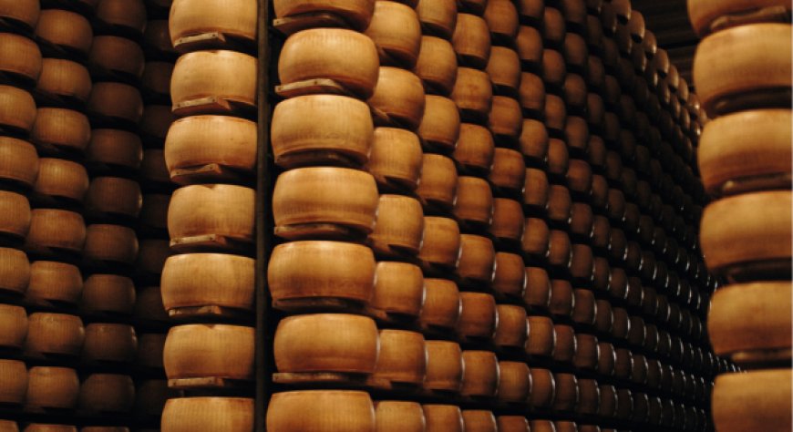 Parmigiano Reggiano di montagna, la produzione supera 921.000 forme