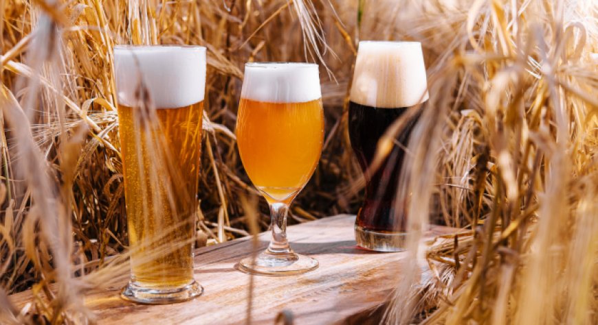 Birra artigianale, dieci anni dalla legge: i numeri del settore in Italia