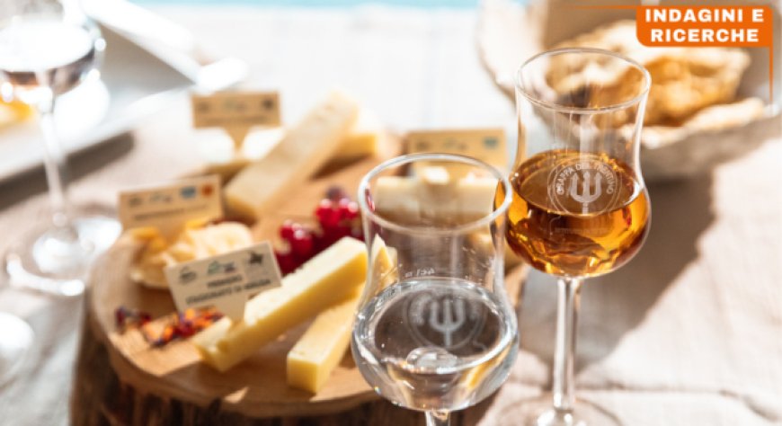 Distillerie trentine, il turismo è strategico per circa il 70% delle aziende