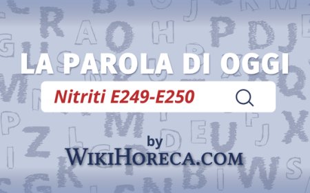 Scopri la parola del giorno su WikiHoreca.com: Nitriti E249-E250
