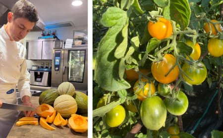 Salice Blu, autoproduzione e biodiversità guidano il lavoro in cucina
