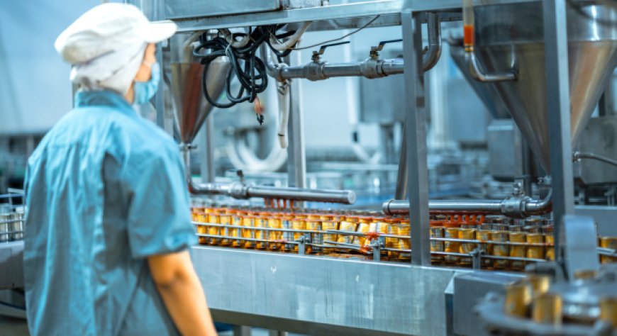 Agroalimentare, l’industria alimentare guida la crescita nel 2025