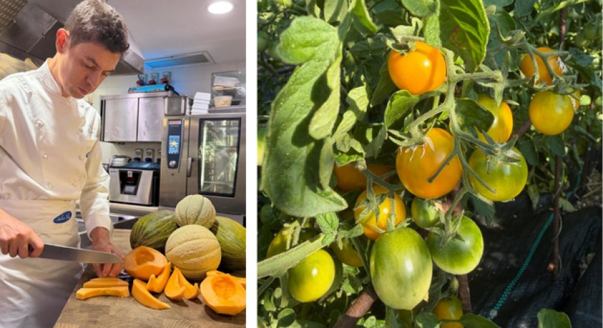 Salice Blu, autoproduzione e biodiversità guidano il lavoro in cucina